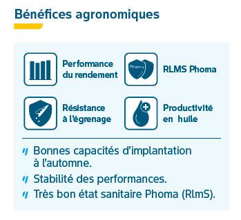 Composantes de rendement
