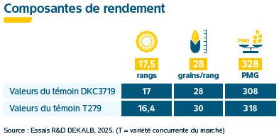 Composantes de rendement