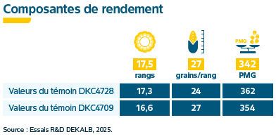 Composantes de rendement