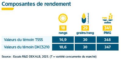 Composantes de rendement