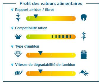Composantes de rendement