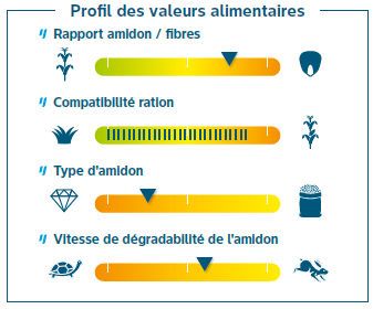 Composantes de rendement