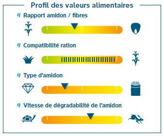 Composantes de rendement