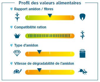 Composantes de rendement
