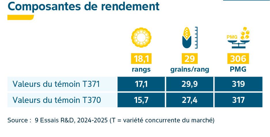 Composantes de rendement