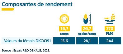 Composantes de rendement