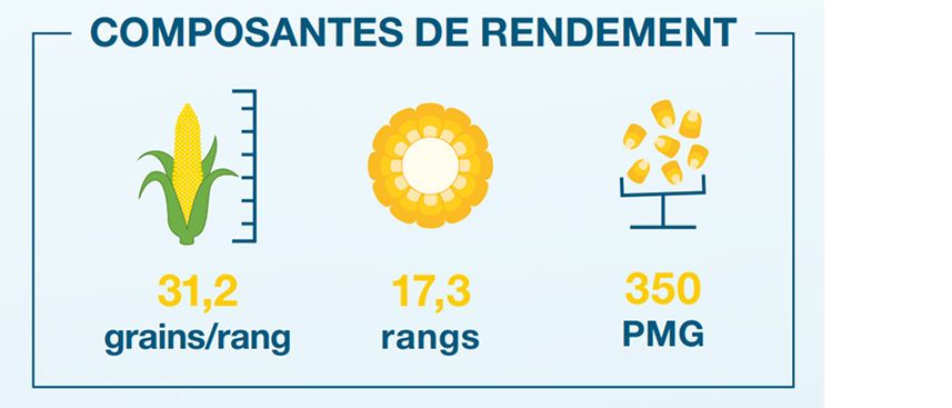 Composantes de rendement