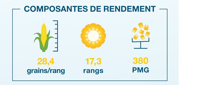 Composantes de rendement