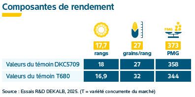 Composantes de rendement