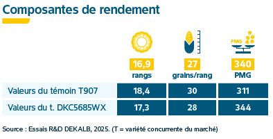 Composantes de rendement