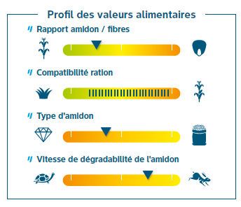 Composantes de rendement