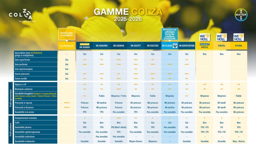 Gamme Colza DEKALB® 2025-2026