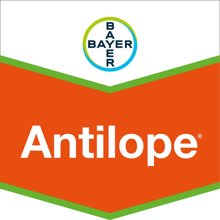 Emballage du produit 1