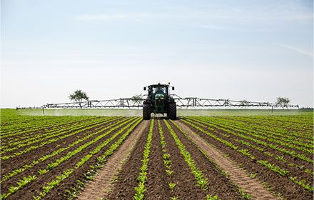 Désherbage des betteraves CONVISO SMART