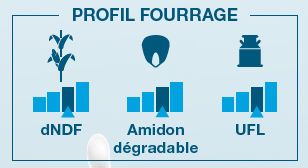 Composantes laitière