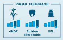 Composantes laitière