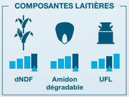 Composantes laitière