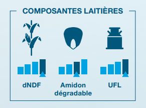 Composantes laitière