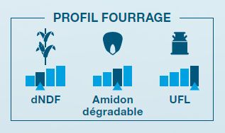 Composantes laitière