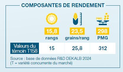 Composantes de rendement