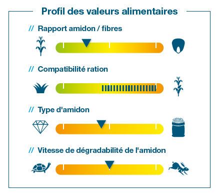 Composantes de rendement