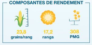 Composantes de rendement