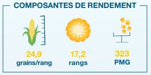 Composantes de rendement