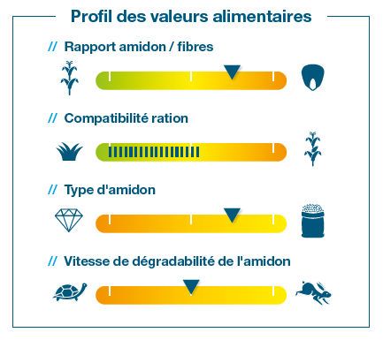 Composantes de rendement