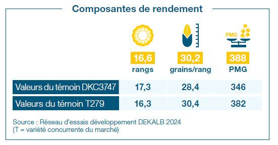 Composantes de rendement