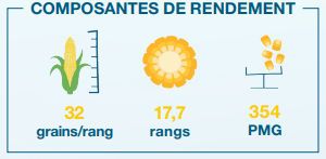 Composantes de rendement
