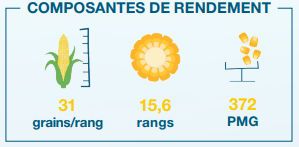 Composantes de rendement