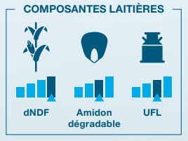 Composantes laitière