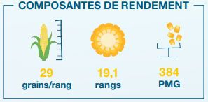 Composantes de rendement