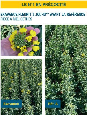 Performances agronomiques