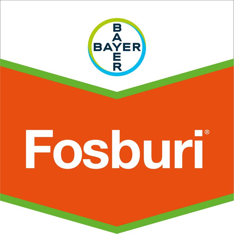 Emballage du produit 1