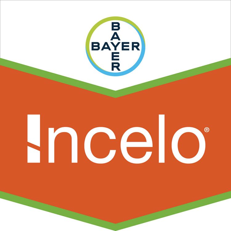 Emballage du produit 1