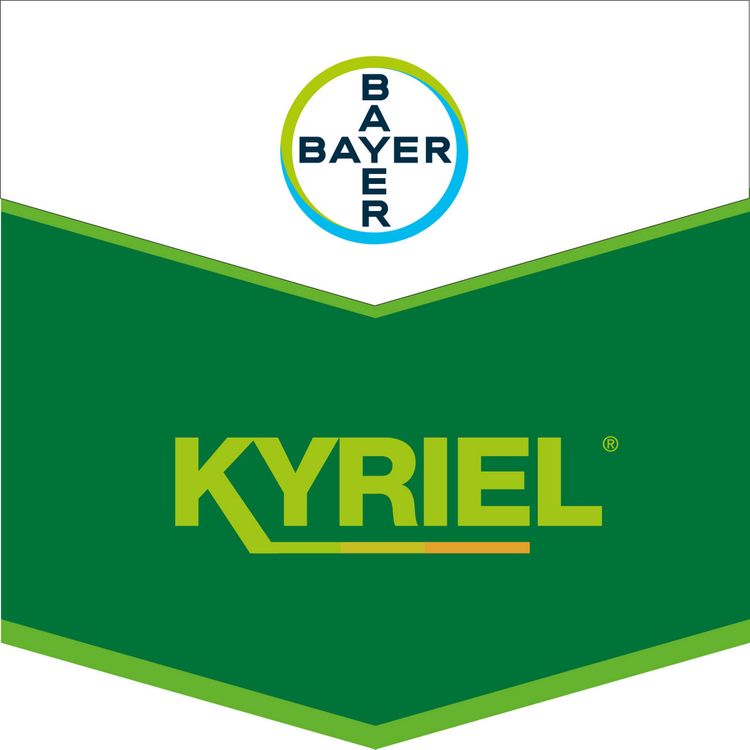 Emballage du produit 1