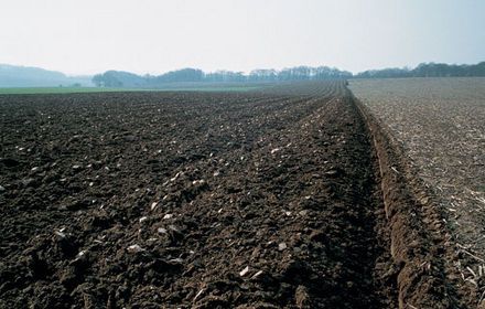 Labour : dans quels cas est-il efficace ?