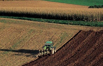 Le labour, une technique toujours d’actualité