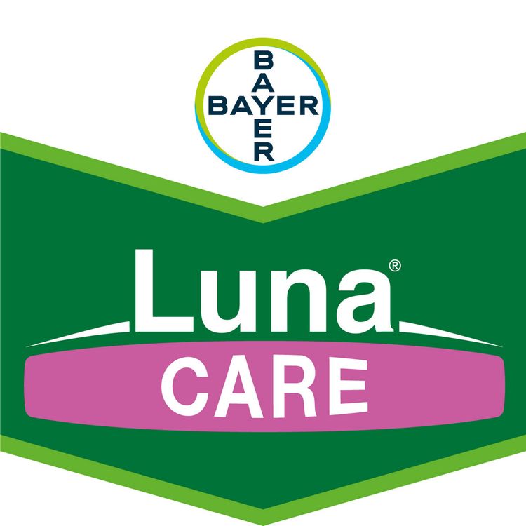 Emballage du produit 1