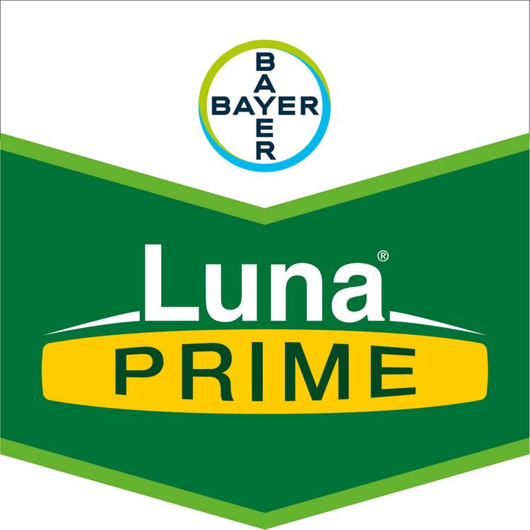 Emballage du produit 1