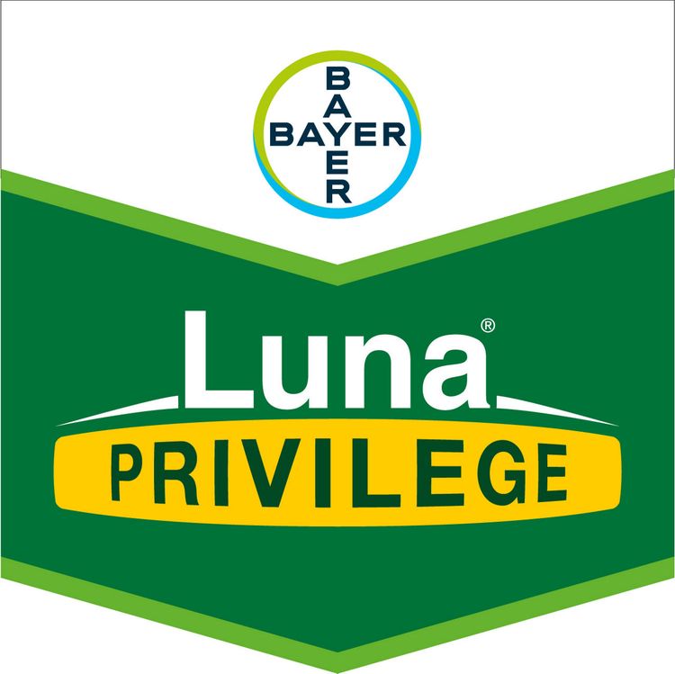 Emballage du produit 1