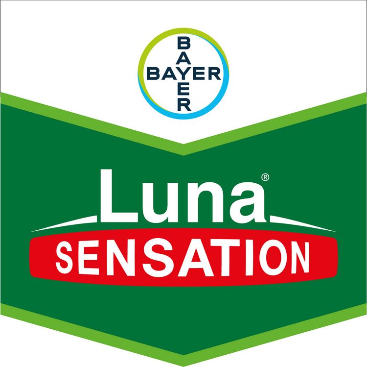 Emballage du produit 1