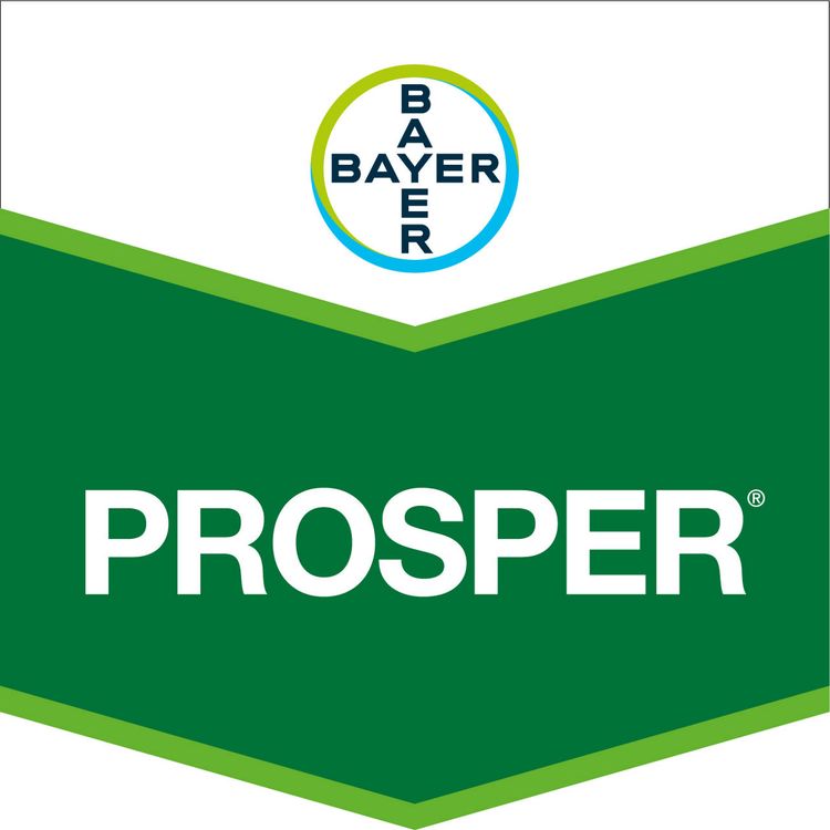 Emballage du produit 1