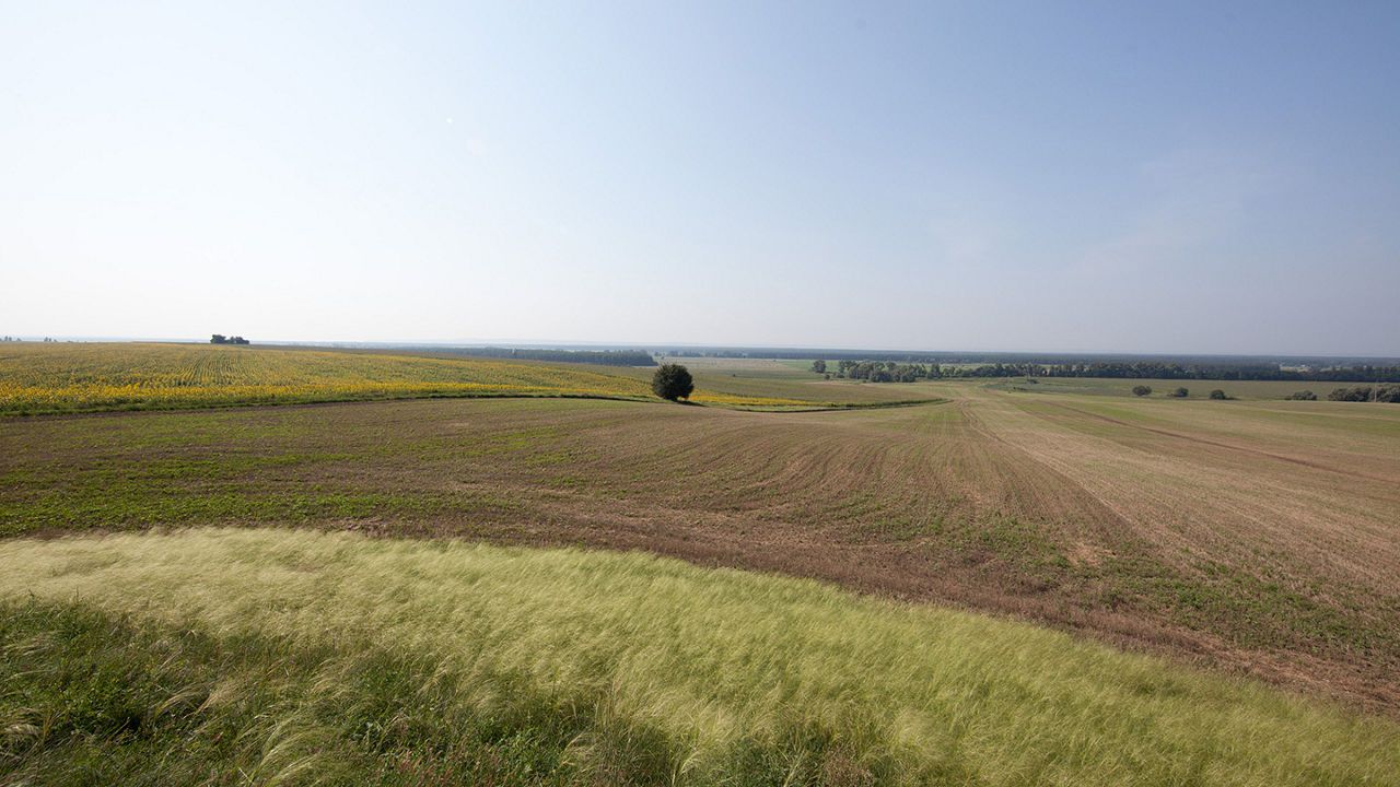 Rotation, assolement