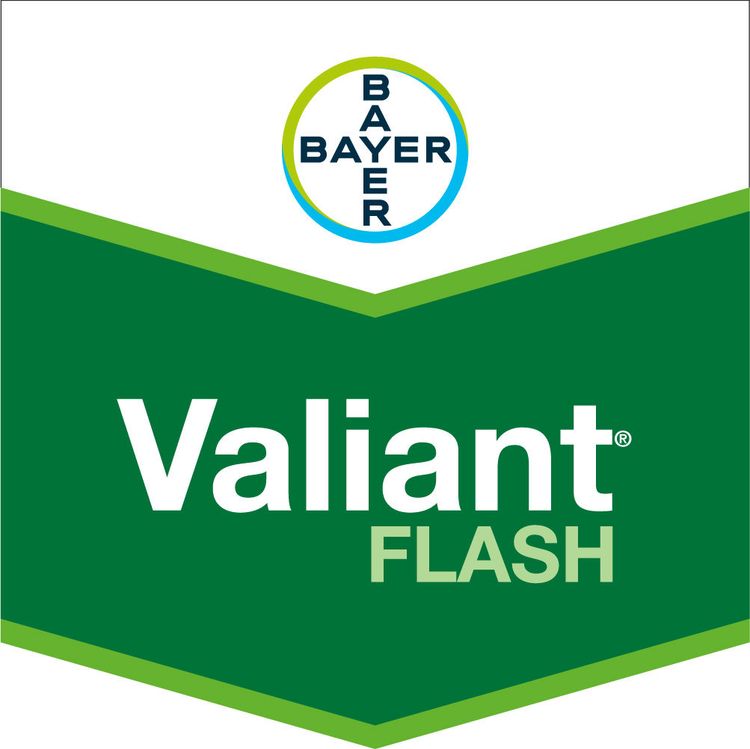 Emballage du produit 1