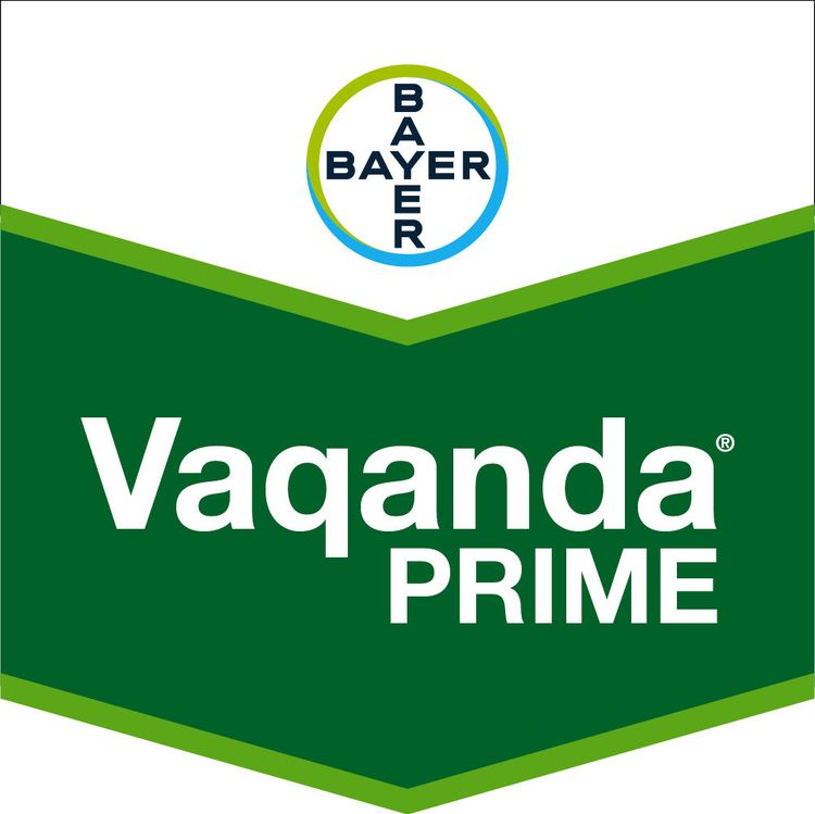 Emballage du produit 1