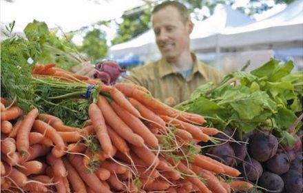 Rhapsody®, solution de biocontrôle pour allier protection et qualité des légumes