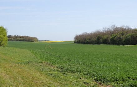Mieux connaître la biodiversité dans les sols agricoles pour mieux la préserver