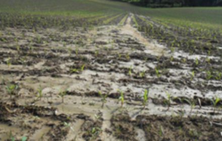 Quelles sont les solutions afin de réduire le ruissellement des produits phytosanitaires en milieu agricole ?